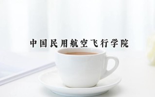 2024中国民用航空飞行学院录取分数线：天津最低560分
