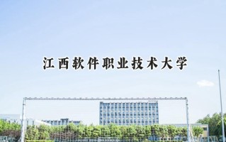 江西软件职业技术大学2024在山东录取分数线是多少？最低294分/最高304分