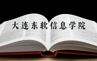2024大连东软信息学院录取分数线：陕西最低408分