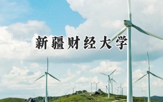 新疆财经大学2024在江苏录取分数线是多少？最低500分/最高536分