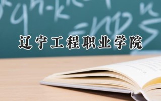 2024辽宁工程职业学院录取分数线：山西最低262分