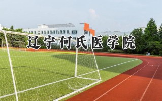 辽宁何氏医学院2024在上海录取分数线是多少？最低398分/最高400分