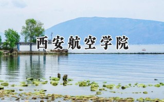 西安航空学院2024在浙江录取分数线是多少？最低507分/最高535分