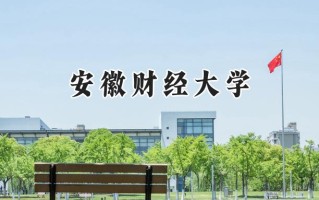 安徽财经大学2024在内蒙古录取分数线是多少？最低481分/最高545分