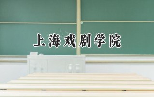 上海戏剧学院2024在山东录取分数线是多少？最低565分/最高584分