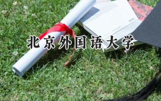 2024北京外国语大学录取分数线：河南最低598分