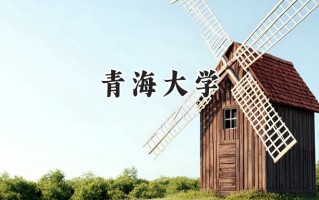 2024青海大学录取分数线：新疆最低396分