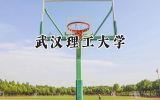 2024武汉理工大学录取分数线：宁夏最低438分