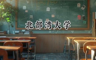 2024北部湾大学录取分数线：江苏最低480分