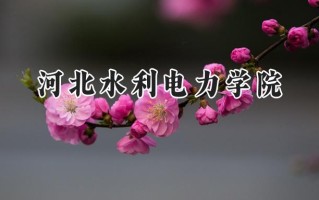 河北水利电力学院2024在浙江录取分数线是多少？最低510分/最高530分