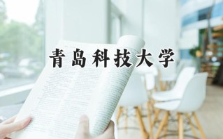 青岛科技大学2024在新疆录取分数线是多少？最低392分/最高449分