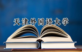 2024天津外国语大学录取分数线：新疆最低401分