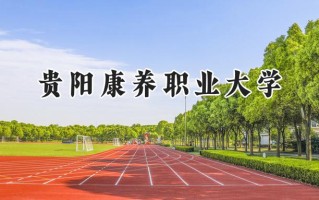 贵阳康养职业大学2024在山东录取分数线是多少？最低479分/最高507分