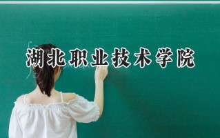 2024湖北职业技术学院录取分数线：陕西最低356分
