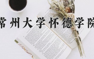 2024年常州大学怀德学院录取分数线，河北最低478分