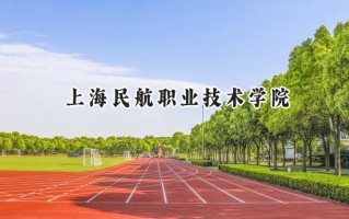 上海民航职业技术学院2024在上海录取分数线是多少？最低165分/最高249分