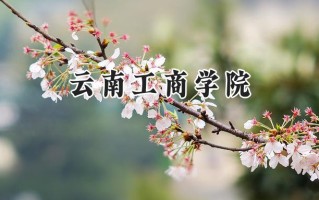 2024云南工商学院录取分数线：陕西最低405分