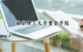 南京理工大学紫金学院2024在福建录取分数线是多少？最低482分/最高530分