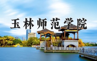 2024年玉林师范学院录取分数线，内蒙古最低382分