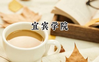 宜宾学院2024在福建录取分数线是多少？最低487分/最高535分