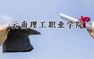 云南理工职业学院2024在青海录取分数线是多少？最低203分/最高259分