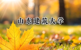 山东建筑大学2024在青海录取分数线是多少？最低354分/最高462分