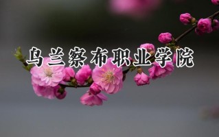 乌兰察布职业学院2024在内蒙古录取分数线是多少？最低233分/最高367分