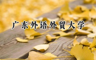 2024广东外语外贸大学录取分数线：山西最低527分