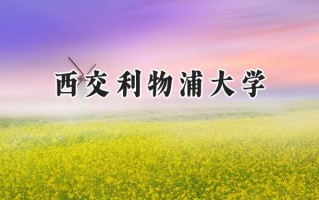 2024西交利物浦大学录取分数线：新疆最低441分