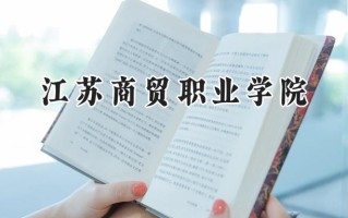 2024江苏商贸职业学院录取分数线：江苏最低335分