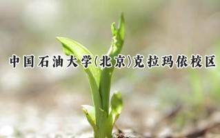 中国石油大学(北京)克拉玛依校区2024在新疆录取分数线是多少？最低441分/最高492分