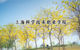 上海科学技术职业学院2024在内蒙古录取分数线是多少？最低290分/最高346分