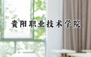 贵阳职业技术学院2024在山东录取分数线是多少？最低368分/最高414分