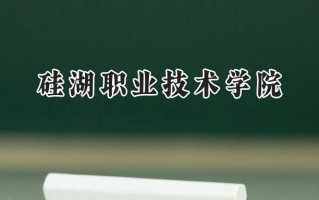 硅湖职业技术学院2024在浙江录取分数线是多少？最低364分/最高496分
