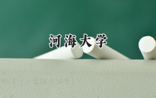 河海大学2024在新疆录取分数线是多少？最低432分/最高541分