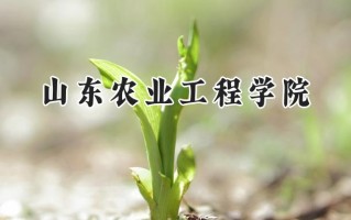 2024山东农业工程学院录取分数线：陕西最低451分