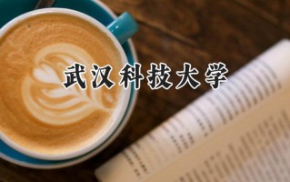 武汉科技大学2024在新疆录取分数线是多少？最低416分/最高467分