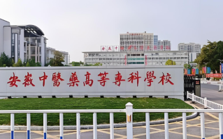 2024安徽中医药高等专科学校录取分数线：最低268分（含各专业录取最低分）