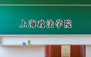 上海政法学院2024在新疆录取分数线是多少？最低393分/最高501分