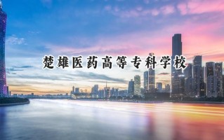 2024楚雄医药高等专科学校录取分数线：山西最低313分