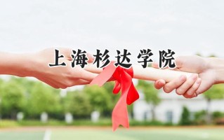 2024上海杉达学院录取分数线：山西最低377分