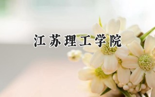 江苏理工学院2024在上海录取分数线是多少？最低438分/最高453分