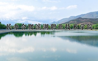 2024年民办合肥滨湖职业技术学院录取分数线，河北最低293分