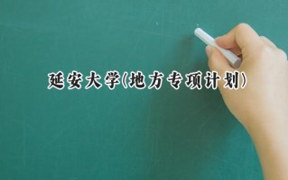2024延安大学(地方专项计划)录取分数线：陕西最低471分