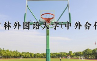 2024年吉林外国语大学(中外合作)录取分数线，内蒙古最低382分
