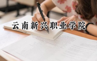 云南新兴职业学院2024在青海录取分数线是多少？最低218分/最高271分