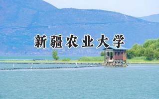 新疆农业大学2024在山东录取分数线是多少？最低458分/最高526分