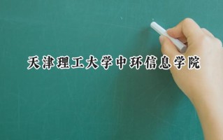 天津理工大学中环信息学院2024在上海录取分数线是多少？最低403分/最高414分