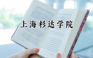上海杉达学院2024在山东录取分数线是多少？最低402分/最高533分