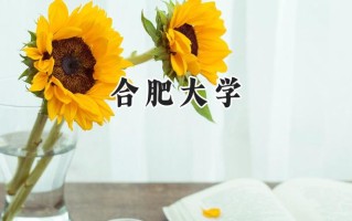 合肥大学2024在浙江录取分数线是多少？最低543分/最高597分